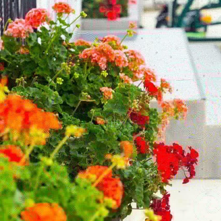 Sariya Hotel Kheivani Dış mekan fotoğraf